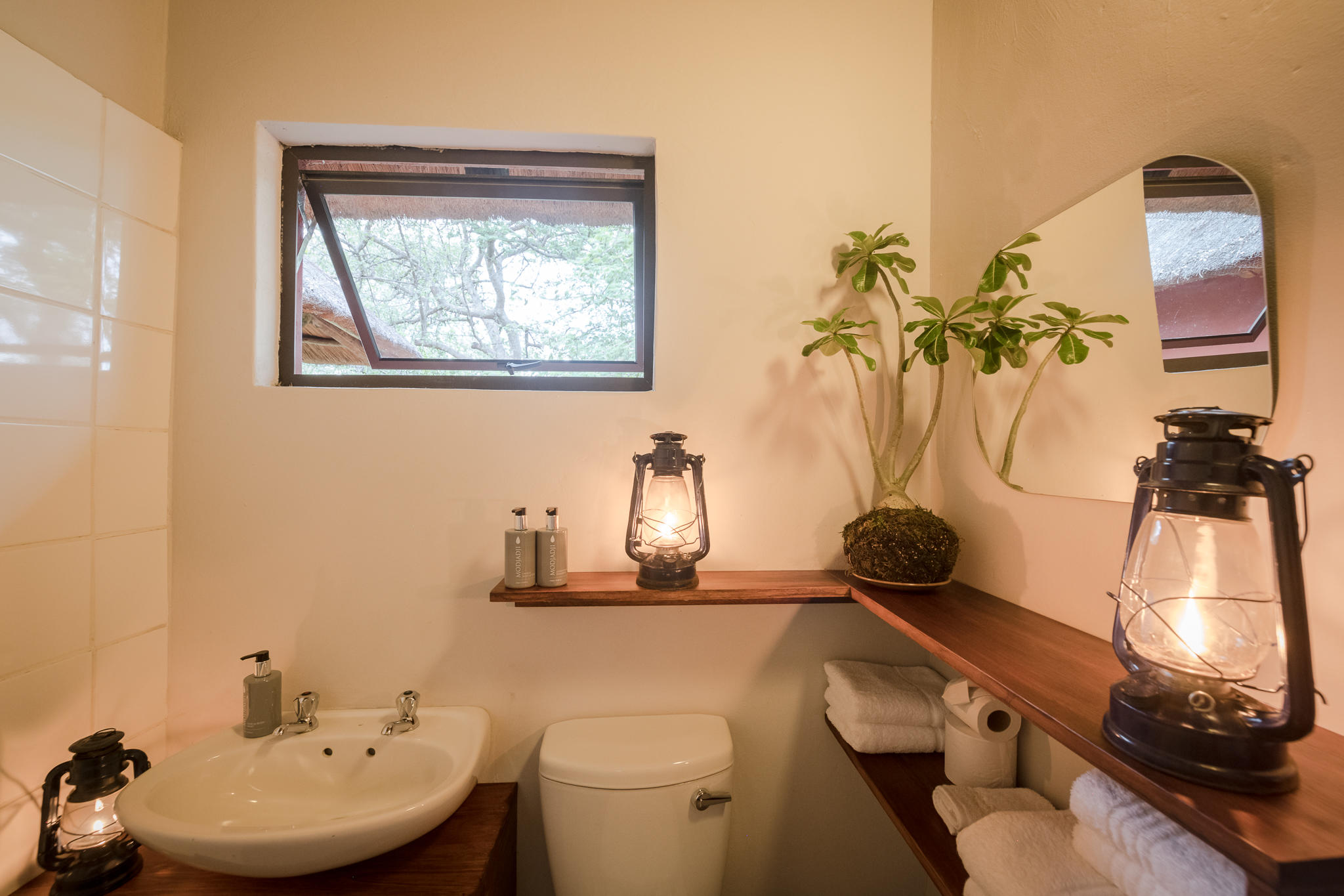 Nambu Camp thumbnail 10